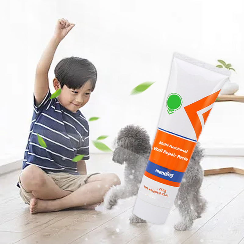 Multi-Functional Wall Repair Paste