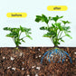 Universal Plants Concentrated Energizer Fertilizer