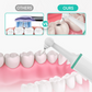 3-Speed Electric Tooth Polisher with 4 Replacement Head