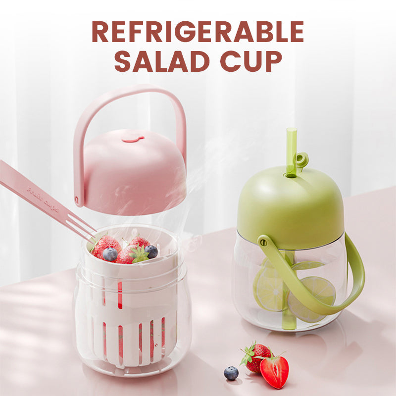 Portable Chilling & Draining Salad Cup with Lid and Handles