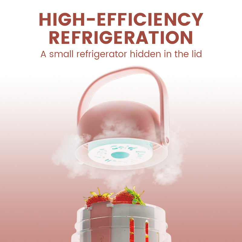 Portable Chilling & Draining Salad Cup with Lid and Handles